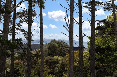 Photo of property in 247 Glamorgan Drive, Torbay, Auckland, 0630