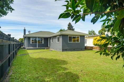 Photo of property in 42 Manson Street, Terrace End, Palmerston North, 4410