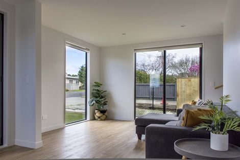 Photo of property in 34a Allenby Road, Panmure, Auckland, 1072