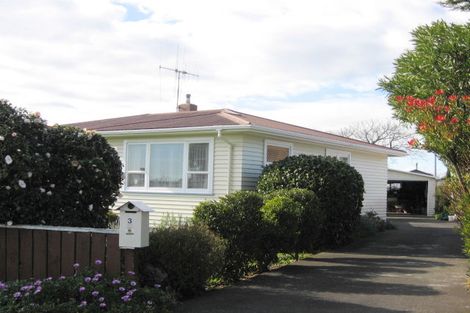 Photo of property in 3 Grey Street, Levin, 5510