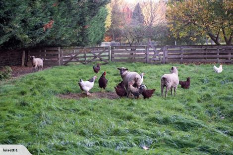 Photo of property in 26 Waiora Lane, Waikuku, 7473