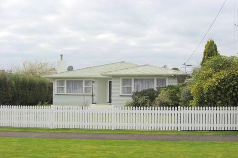 Photo of property in 20 Dudley Street, Levin, 5510
