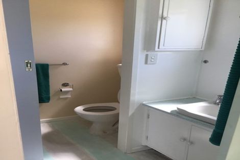 Photo of property in 17 Wilton Street, Levin, 5510