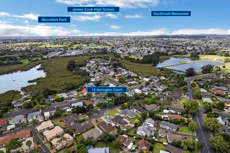 Photo of property in 12 Avonglen Court, Wattle Downs, Auckland, 2103