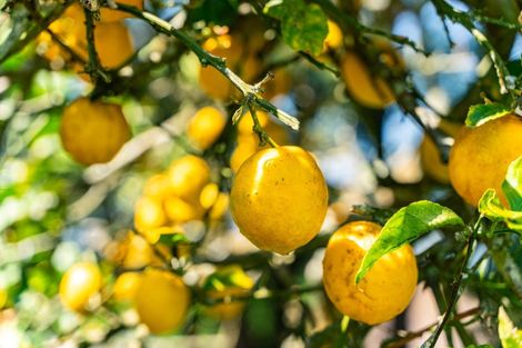 Photo of property in 61a Hilton Road, Lynmore, Rotorua, 3010