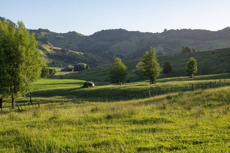 Photo of property in 749 Kanakanaia Road, Te Karaka, 4091