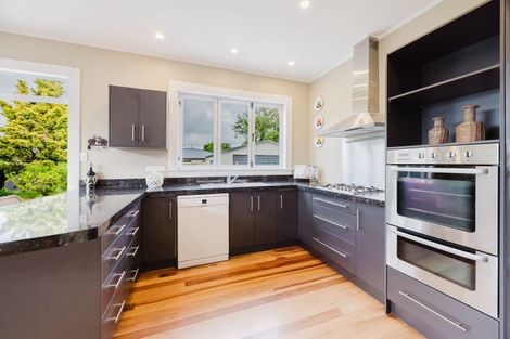 Photo of property in 14 Francis Drake Street, Waipukurau, 4200