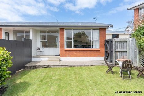 Photo of property in 6a Hereford Street, Roslyn, Dunedin, 9010