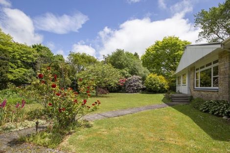 Photo of property in 17 Haswell Street, Eketahuna, 4900