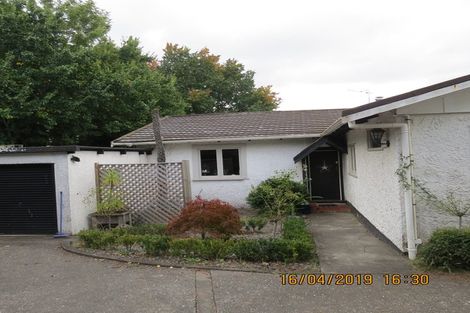 Photo of property in 19 Greenwood Road, Havelock North, 4130