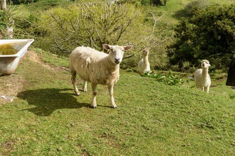 Photo of property in 94 Darraghs Road, Brookfield, Tauranga, 3110