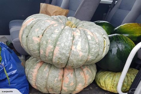 Photo of property in 37 Kaka Street, Taupo, 3330