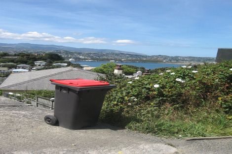 Photo of property in 49 Rakau Road, Hataitai, Wellington, 6021