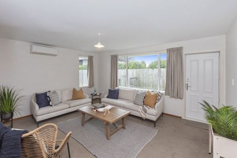 Photo of property in 3/242 Springfield Road, St Albans, Christchurch, 8014
