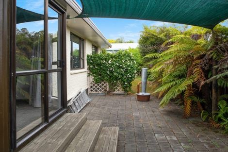 Photo of property in 6 Glendale Place, Witherlea, Blenheim, 7201
