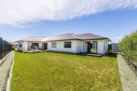 Photo of property in 15 Dinneen Close, Frimley, Hastings, 4120