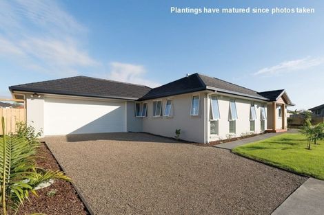 Photo of property in 62 Ranui Avenue, Kerikeri, 0230