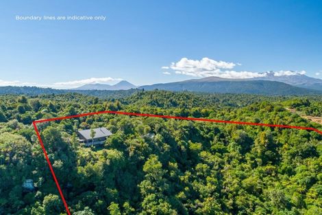 Photo of property in 550 Cuff Road, Erua, Owhango, 3990