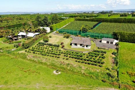 Photo of property in 95 Pukakura Road, Katikati, 3178