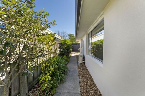 Photo of property in 1/86 Nelson Street, Springlands, Blenheim, 7201