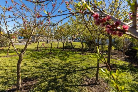 Photo of property in 386 Alabama Road, Riverlands, Blenheim, 7274