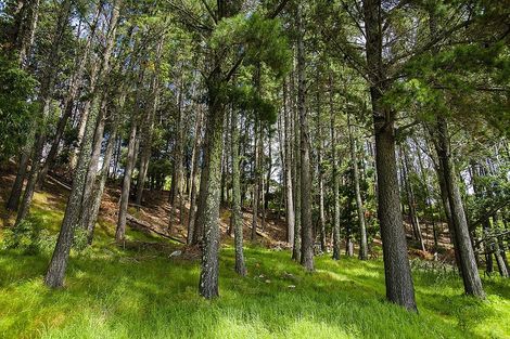 Photo of property in 162b Matokitoki Valley Road, Matokitoki, Gisborne, 4071