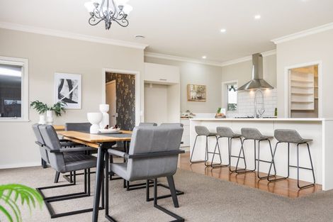 Photo of property in 75 Reid Line West, Feilding, 4777