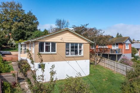 Photo of property in 129 Mulford Street, Concord, Dunedin, 9018