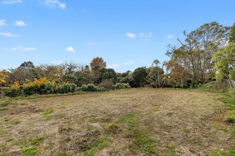 Photo of property in 29 Balloch Street, Fairfield, Hamilton, 3214