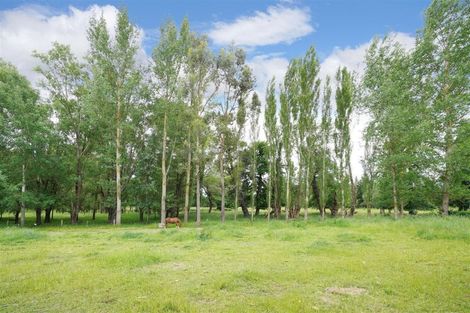 Photo of property in 440 Birch Hill Road, Okuku, Rangiora, 7473