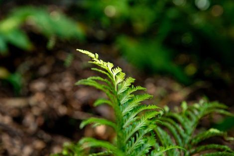 Photo of property in 15 Garfield Street, Brooklyn, Wellington, 6021