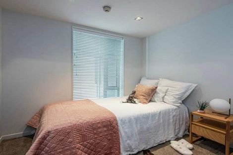 Photo of property in Piermont Apartments, 1b/82 Cable Street, Te Aro, Wellington, 6011