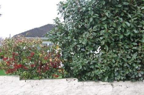 Photo of property in 59 Makino Road, Feilding, 4702