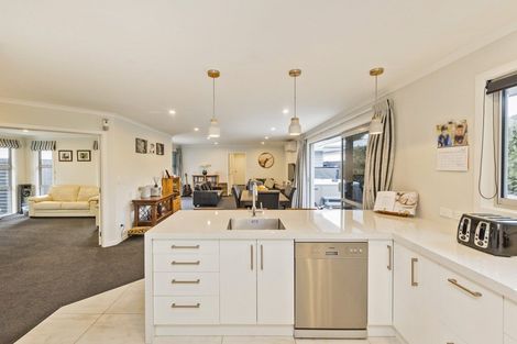 Photo of property in 96a Limbrick Street, Terrace End, Palmerston North, 4410