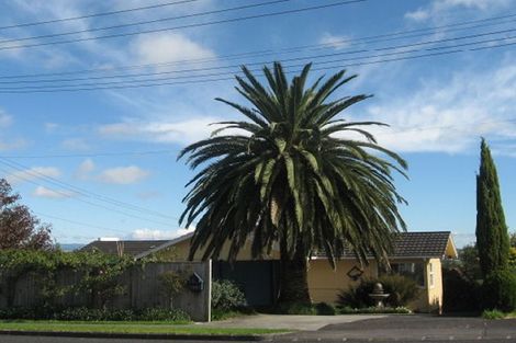 Photo of property in 117 Bradbury Road, Botany Downs, Auckland, 2010