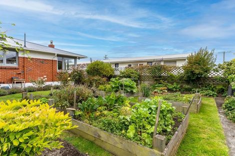 Photo of property in 3 Dalgety Street, Saint Kilda, Dunedin, 9012