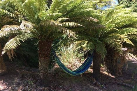 Photo of property in 1465 State Highway 49, Tangiwai, Ohakune, 4691