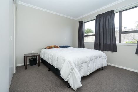 Photo of property in 99 Naylor Street, Hamilton East, Hamilton, 3216