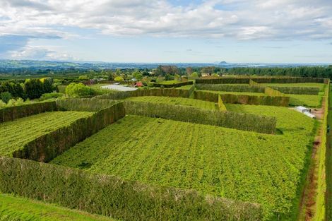 Photo of property in 837b Pyes Pa Road, Pyes Pa, Tauranga, 3173