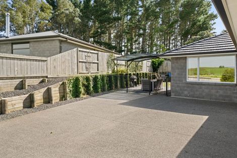 Photo of property in 288 Ballintoy Park Drive, Welcome Bay, Tauranga, 3175