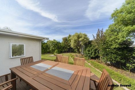 Photo of property in 50 Haydon Street, Roslyn, Palmerston North, 4414