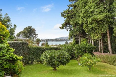 Photo of property in 57 Twentysecond Avenue, Gate Pa, Tauranga, 3112