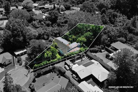 Photo of property in 19 Beverley Crescent, Hillcrest, Hamilton, 3216