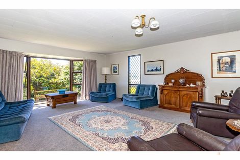 Photo of property in 30 Forest Road, Geraldine, 7930