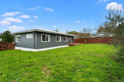 Photo of property in 24 Goodwin Street, Tirau, 3410