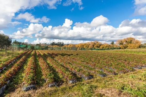 Photo of property in 113-115 Fred Taylor Drive, Whenuapai, Auckland, 0814