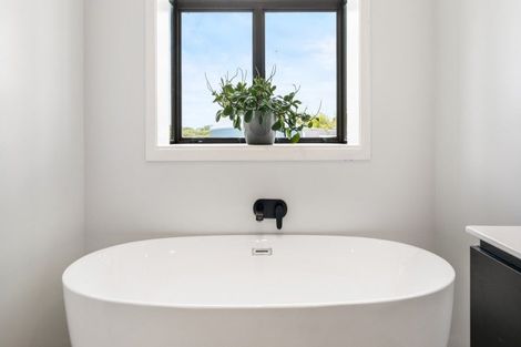 Photo of property in 353 Kopuku Road, Maramarua Forest, Te Kauwhata, 3781