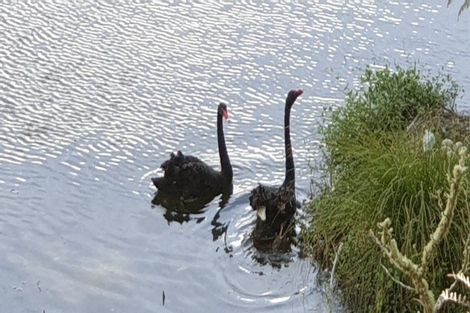 Photo of property in 766 Kaka Road, Okoki, Urenui, 4375