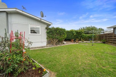 Photo of property in 1 Epsom Road, Mount Maunganui, 3116