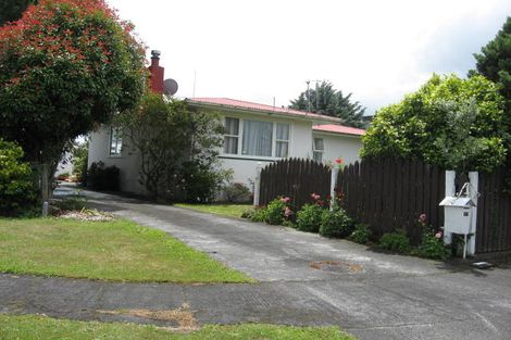 Photo of property in 11 Blenheim Place, Feilding, 4702